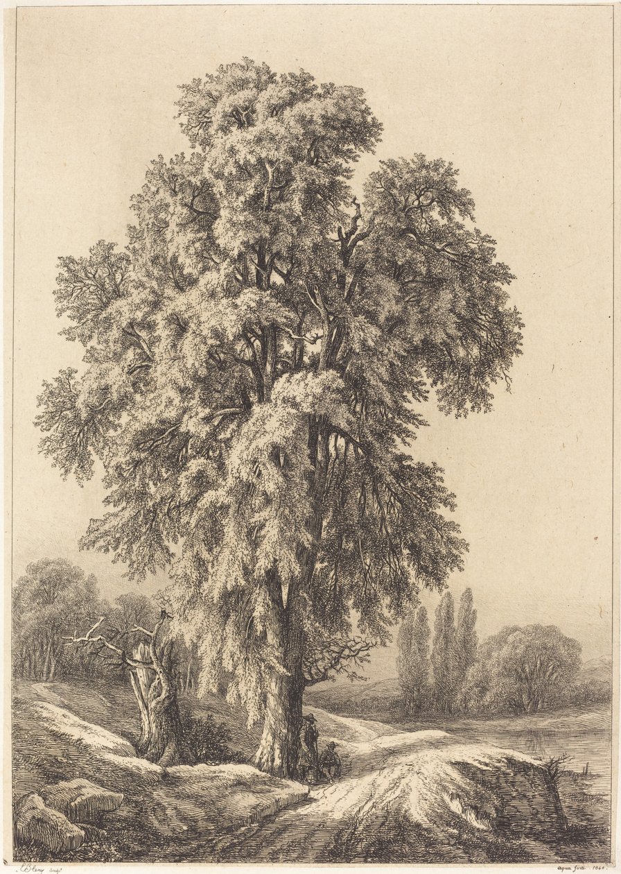 Elmetræet, 1840. af Eugene Bléry