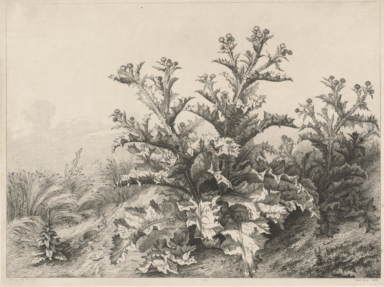 Den store tidsel (Le Grand Chardon) af Eugene Bléry
