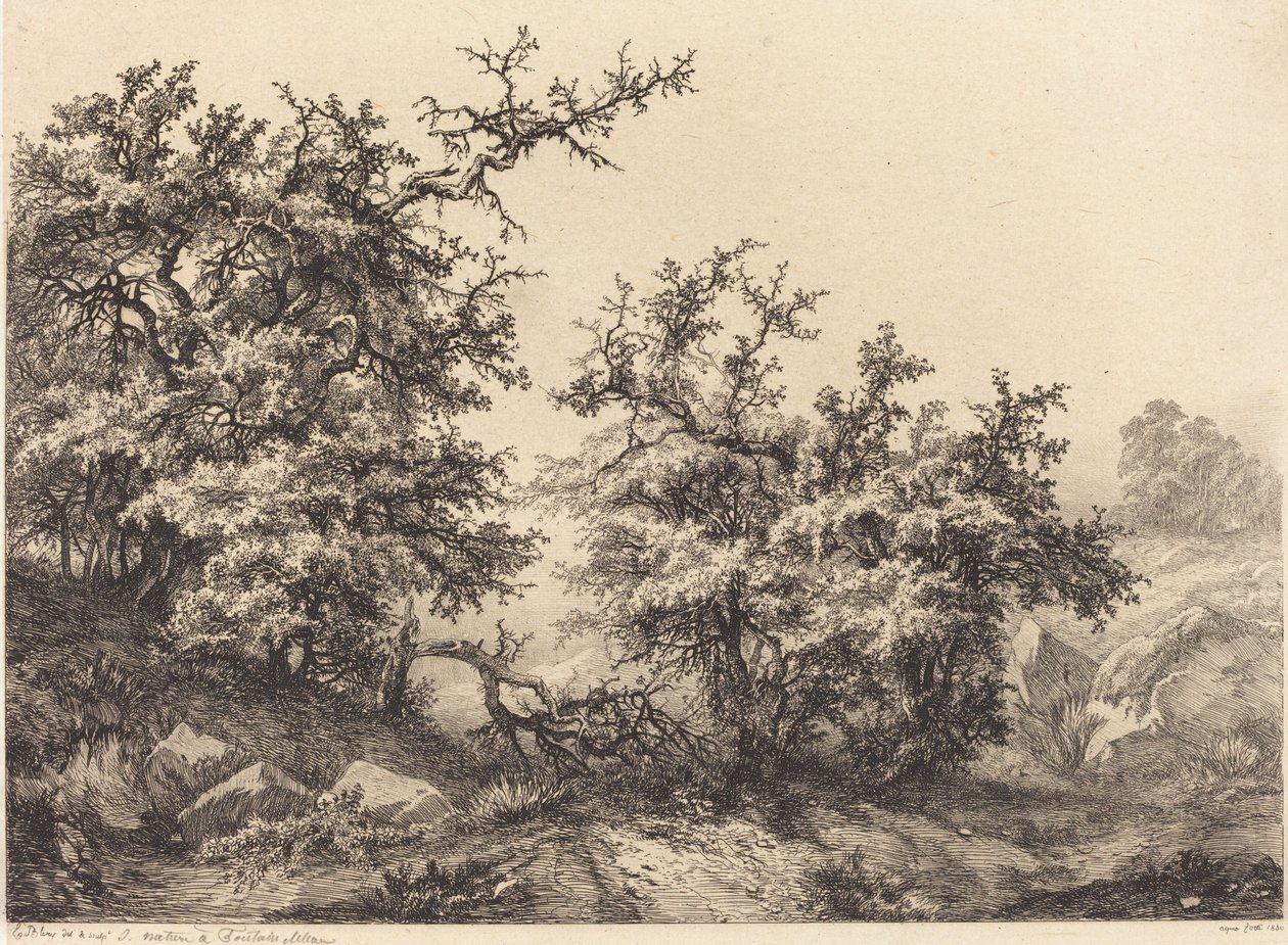 Tornbuske, 1840. af Eugene Bléry