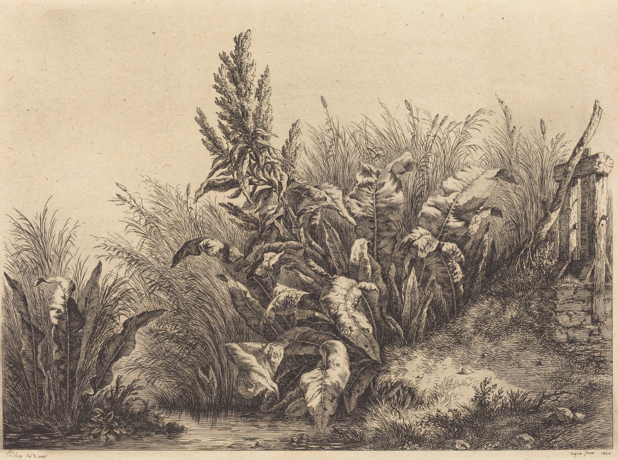 Vanddok, 1840. af Eugene Bléry