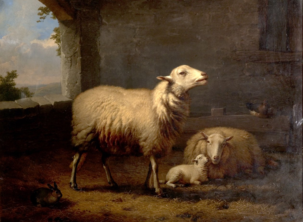 Får, 1876 af Eugene Joseph Verboeckhoven
