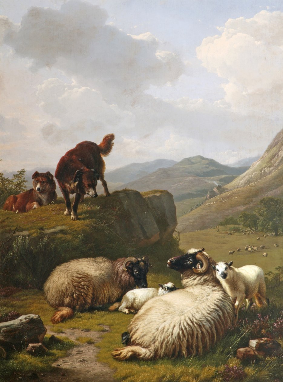 Får og hunde af Eugene Joseph Verboeckhoven
