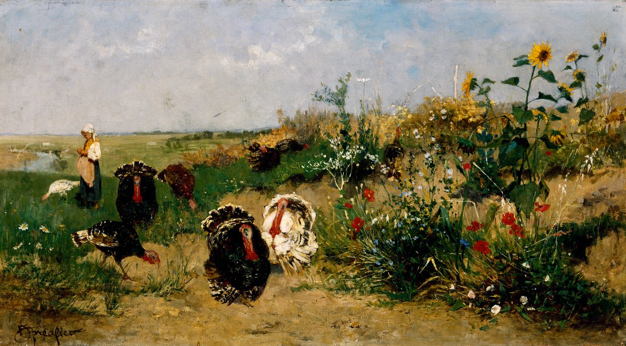 Kalkuner af Eugenio Spreafico