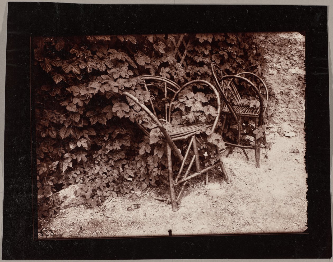 Humle af Eugène Atget