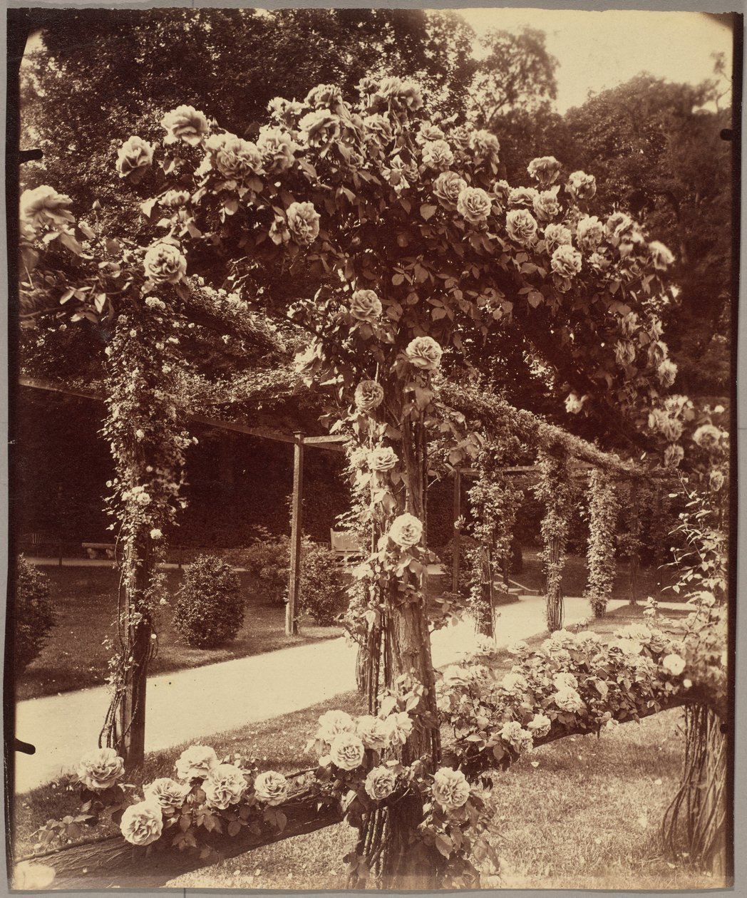 [Jardin de Bagatelle] af Eugène Atget