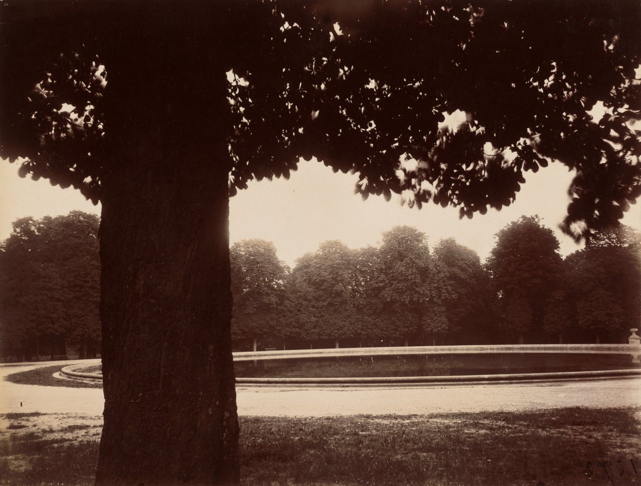 Saint-Cloud af Eugène Atget