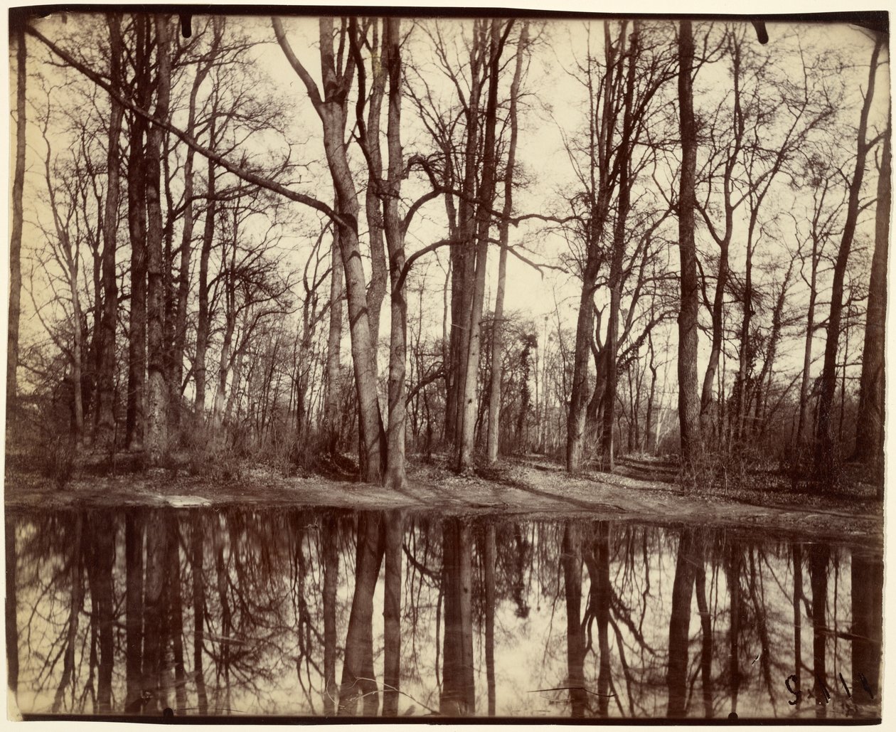 Saint-Cloud af Eugène Atget