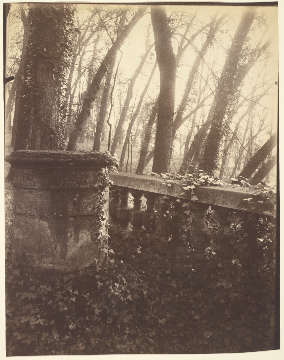 Saint-Cloud Park, Paris af Eugène Atget