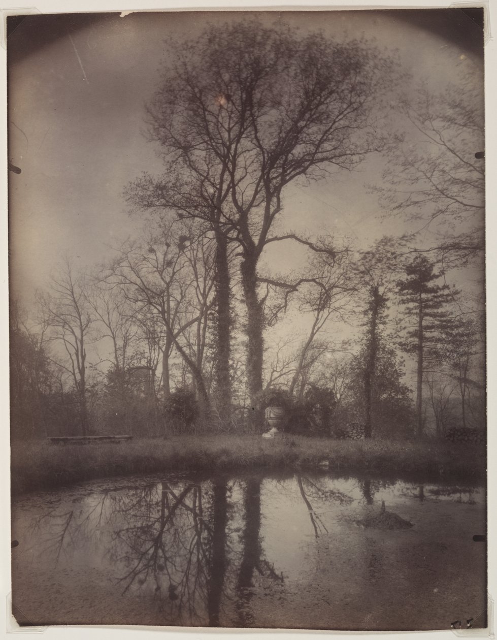 Parken ved Sceaux [april 1925, kl. 07.00] af Eugène Atget