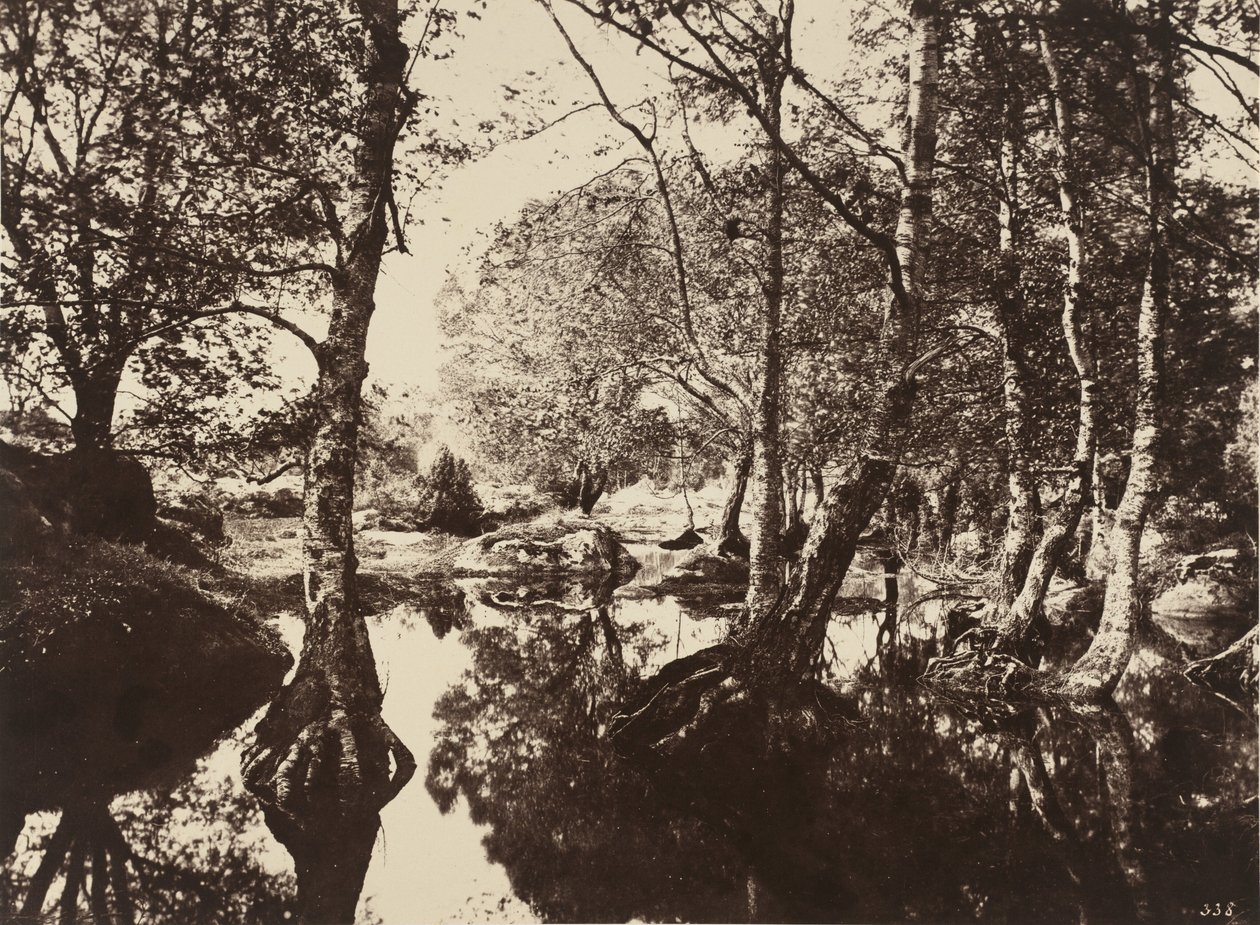 Belle-Croix, 1860