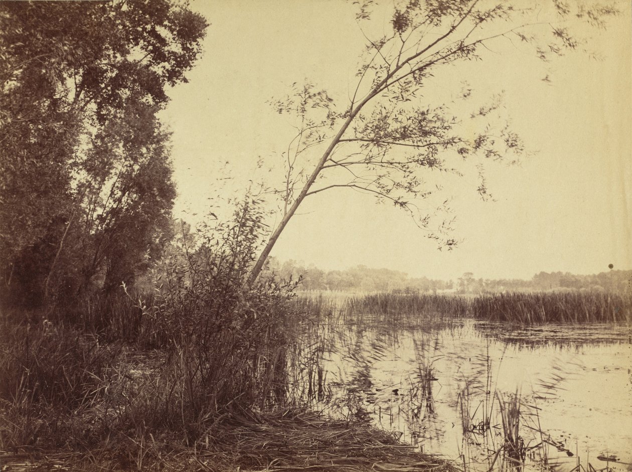 Marsh of Fampoux af Eugène Cuvelier