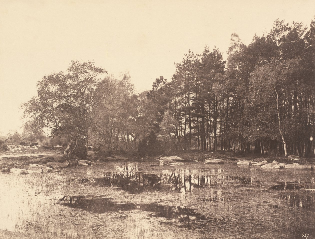 Marsh ved Piat (Belle-Croix Plateau) af Eugène Cuvelier