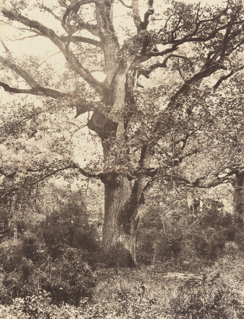 Nær Bodmer, 1860