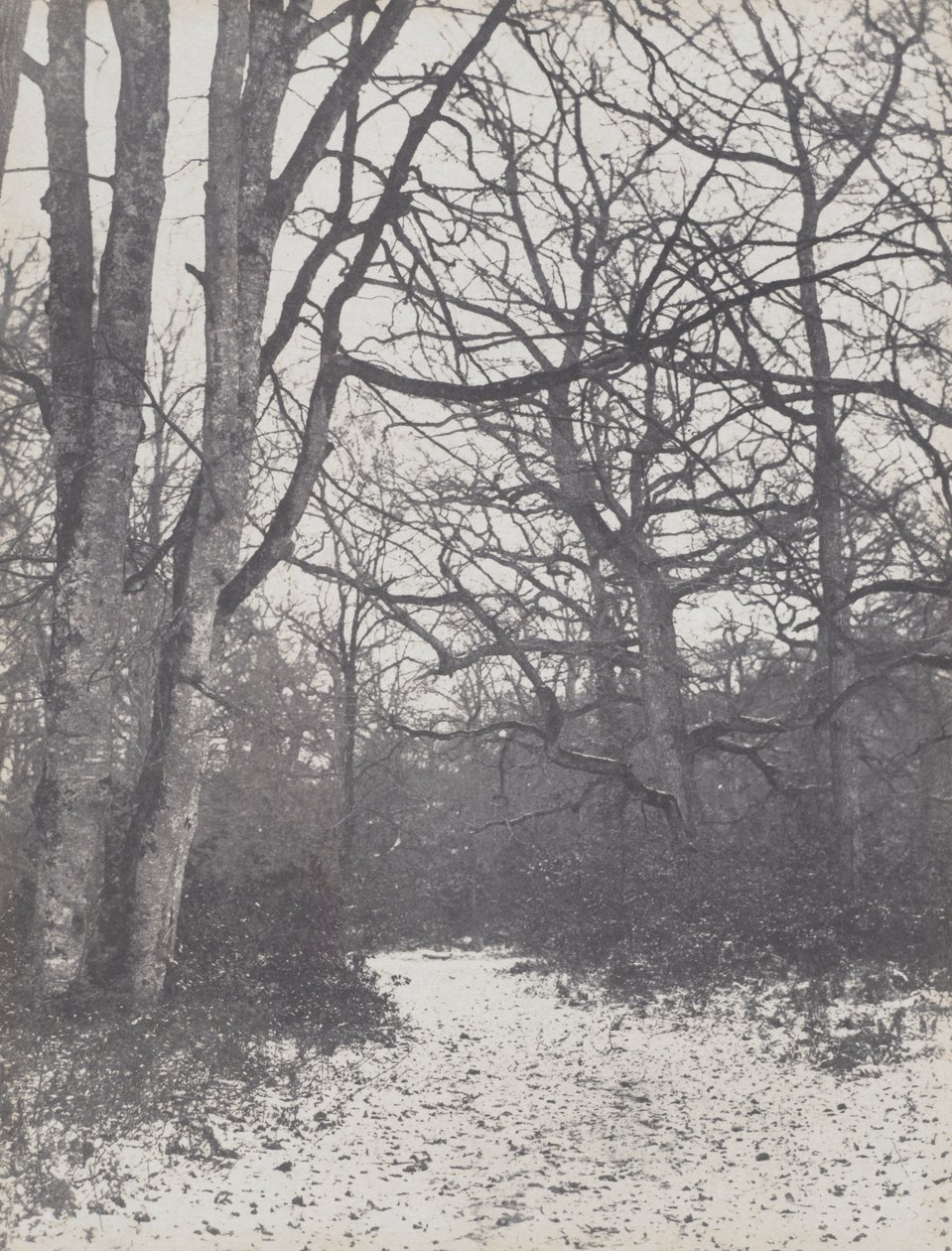 Vej i Skoven, 1860-1863. af Eugène Cuvelier