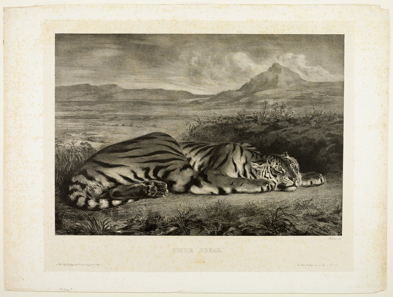 Bengalske tiger af Eugène Delacroix