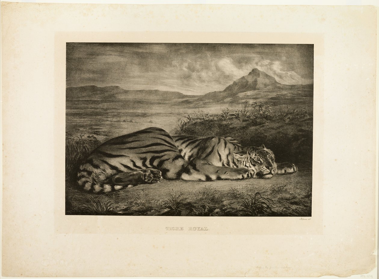 Bengalske tiger af Eugène Delacroix