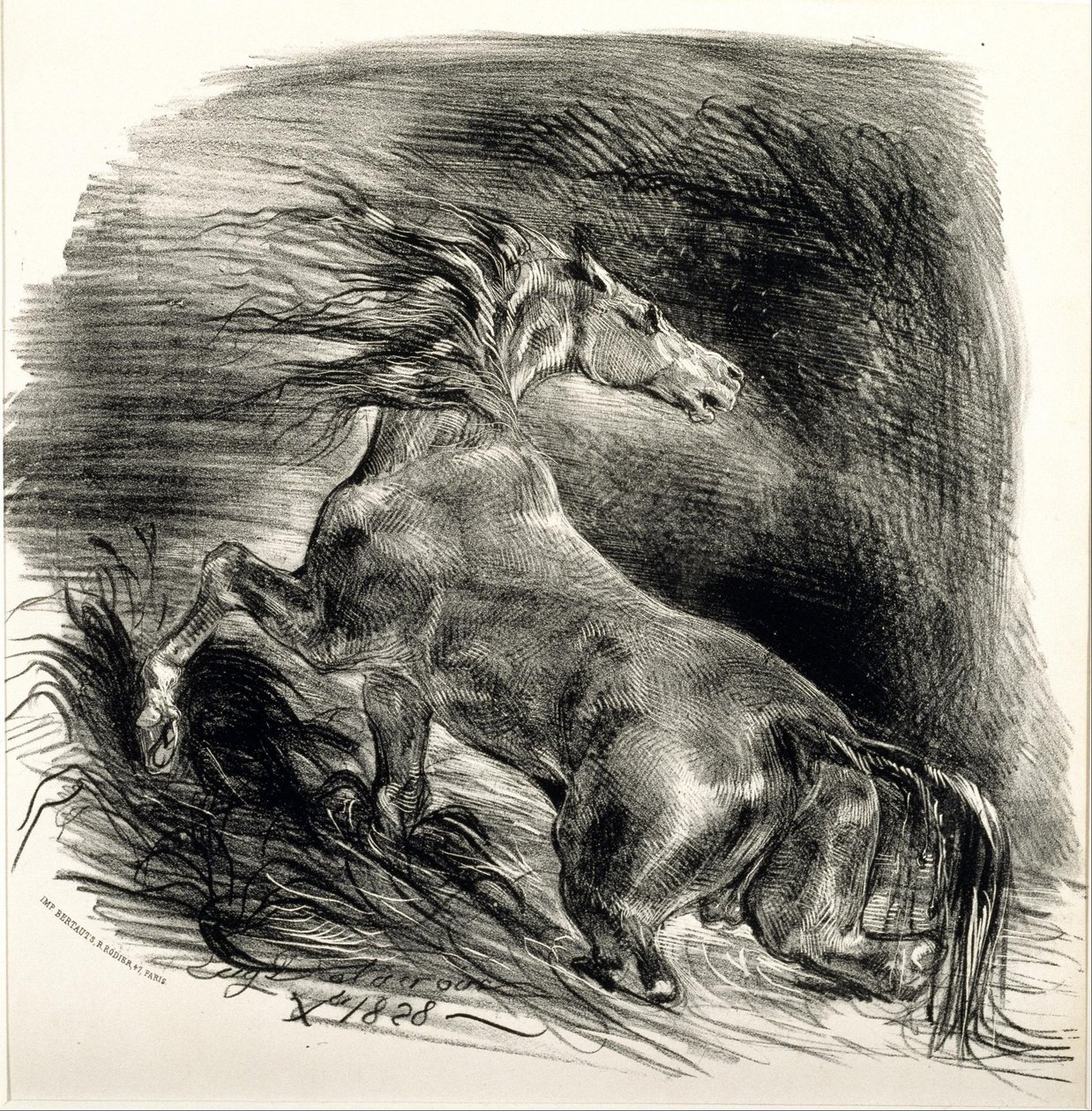 Vild hest af Ferdinand Victor Eugene Delacroix
