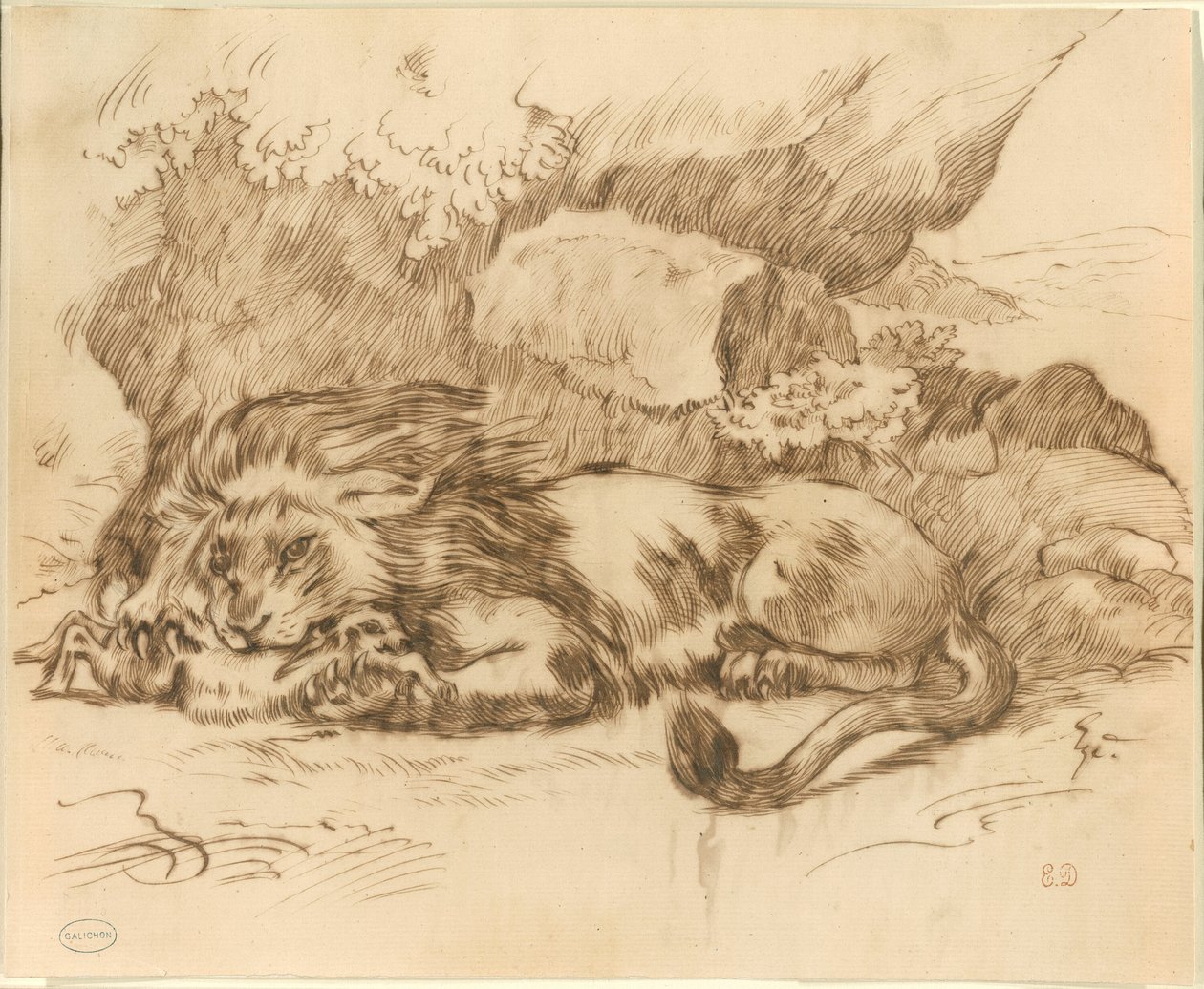 Løve fortærer en kanin af Eugène Delacroix