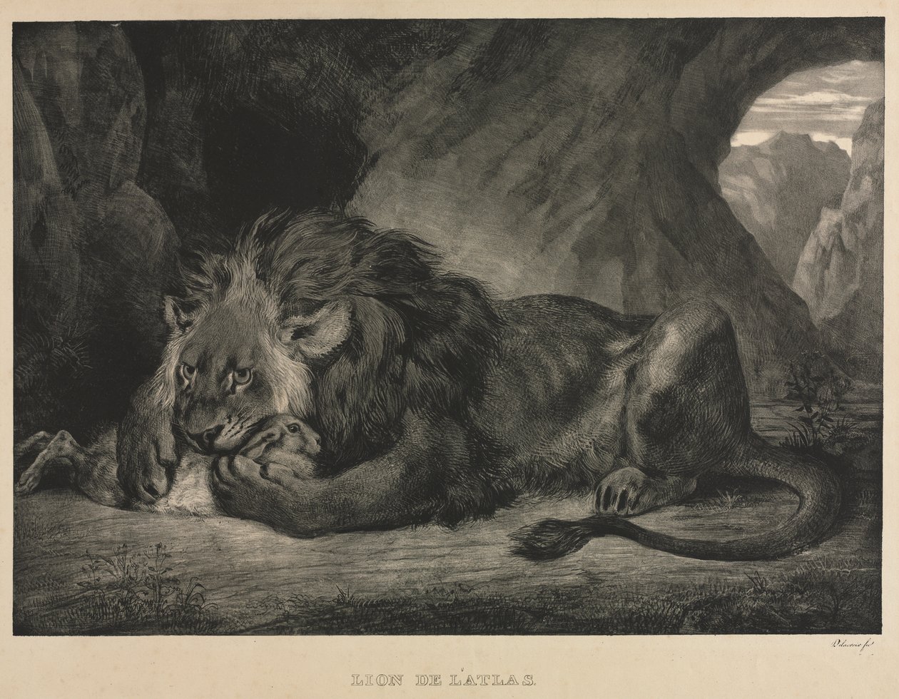 Løve af Atlasbjergene af Eugène Delacroix