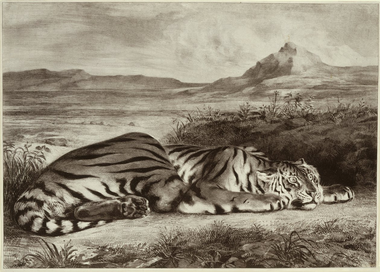 Royal Tiger af Eugène Delacroix