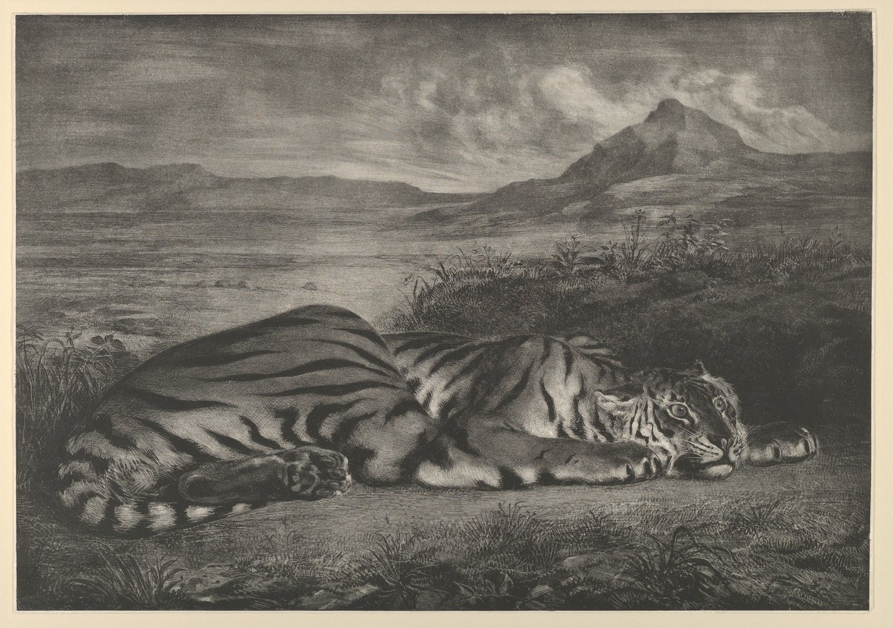 Royal Tiger, 1829., 1829. af Eugène Delacroix