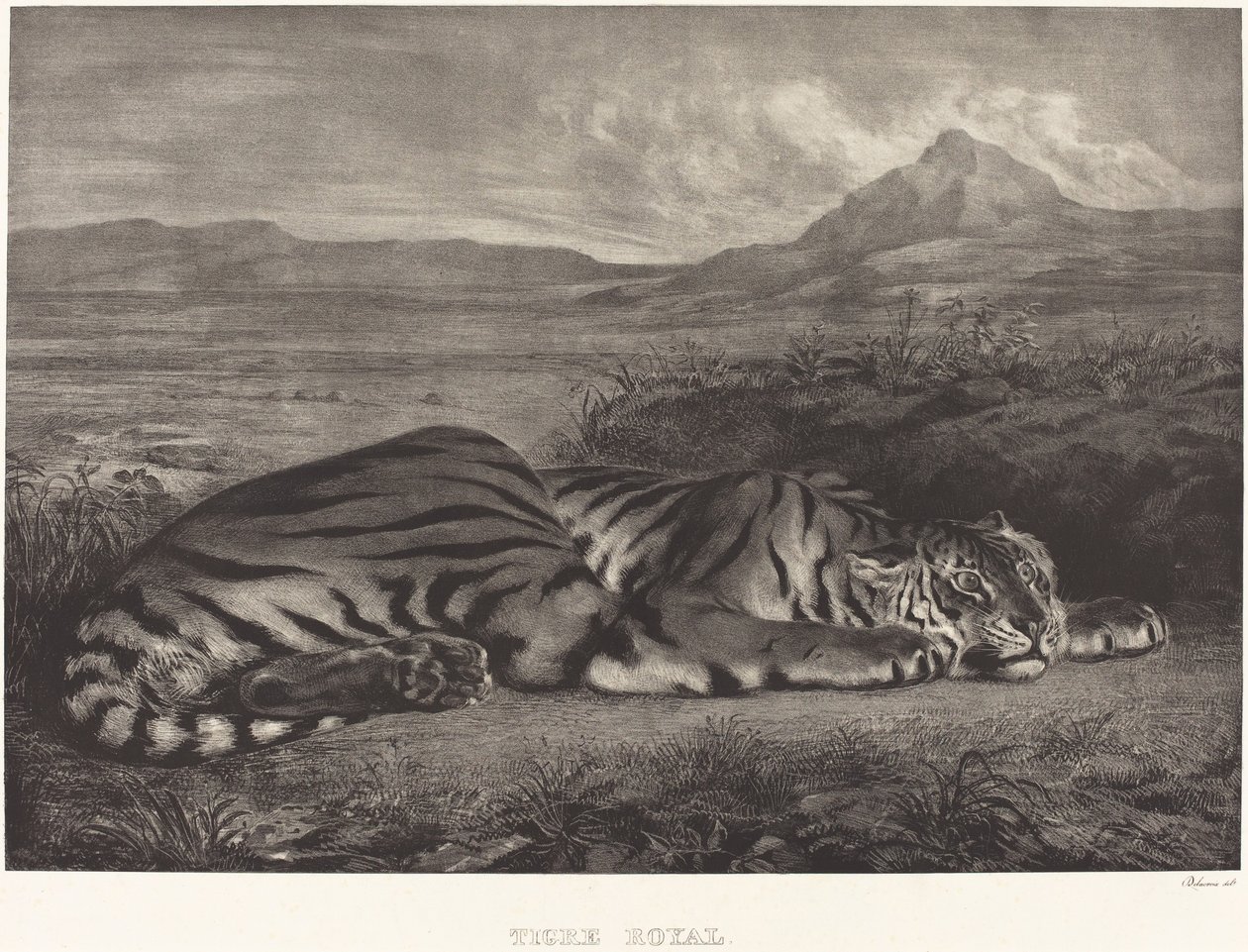 Royal Tiger Tigre Royal, 1829. af Eugène Delacroix