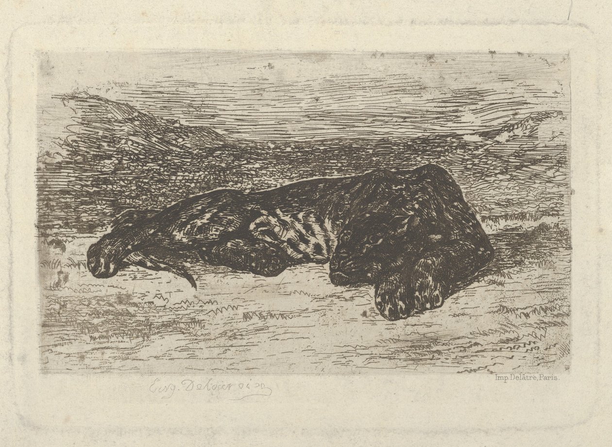Tiger liggende i ørkenen, 1846, 1846. af Eugène Delacroix