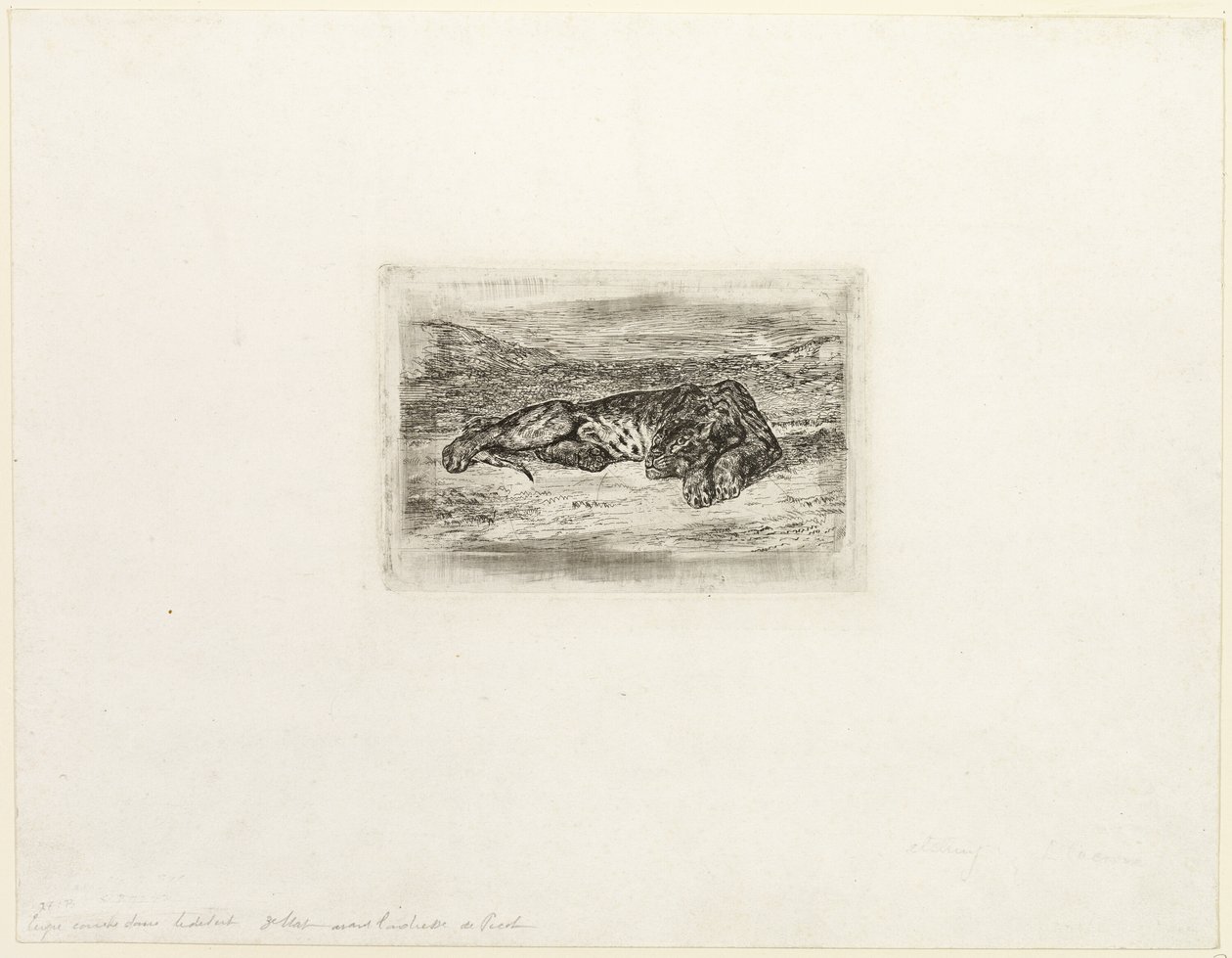 Tiger hviler i ørkenen af Eugène Delacroix