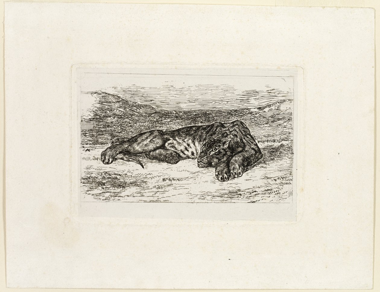 Tiger hviler i ørkenen af Eugène Delacroix