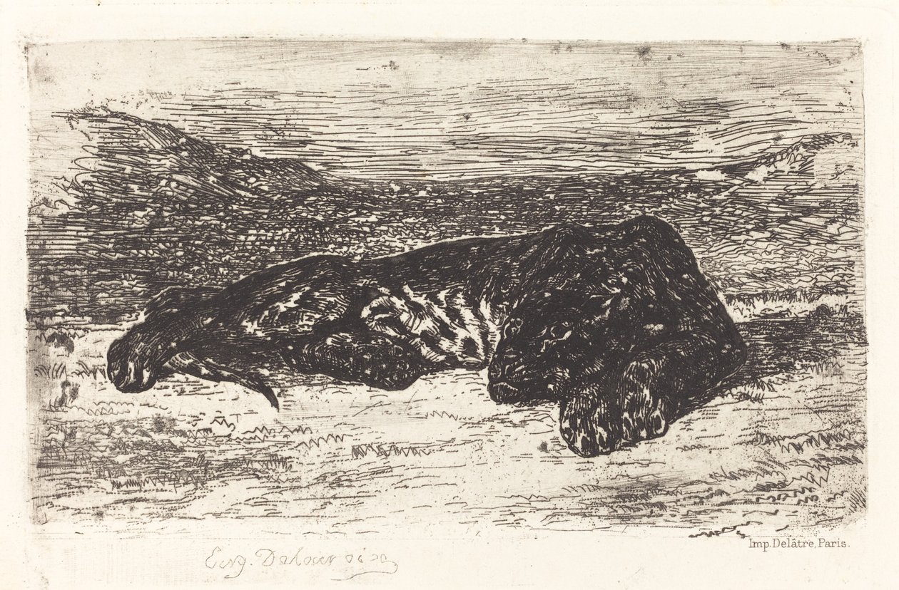 Tiger sover i ørkenen, ca. 1830. af Eugène Delacroix