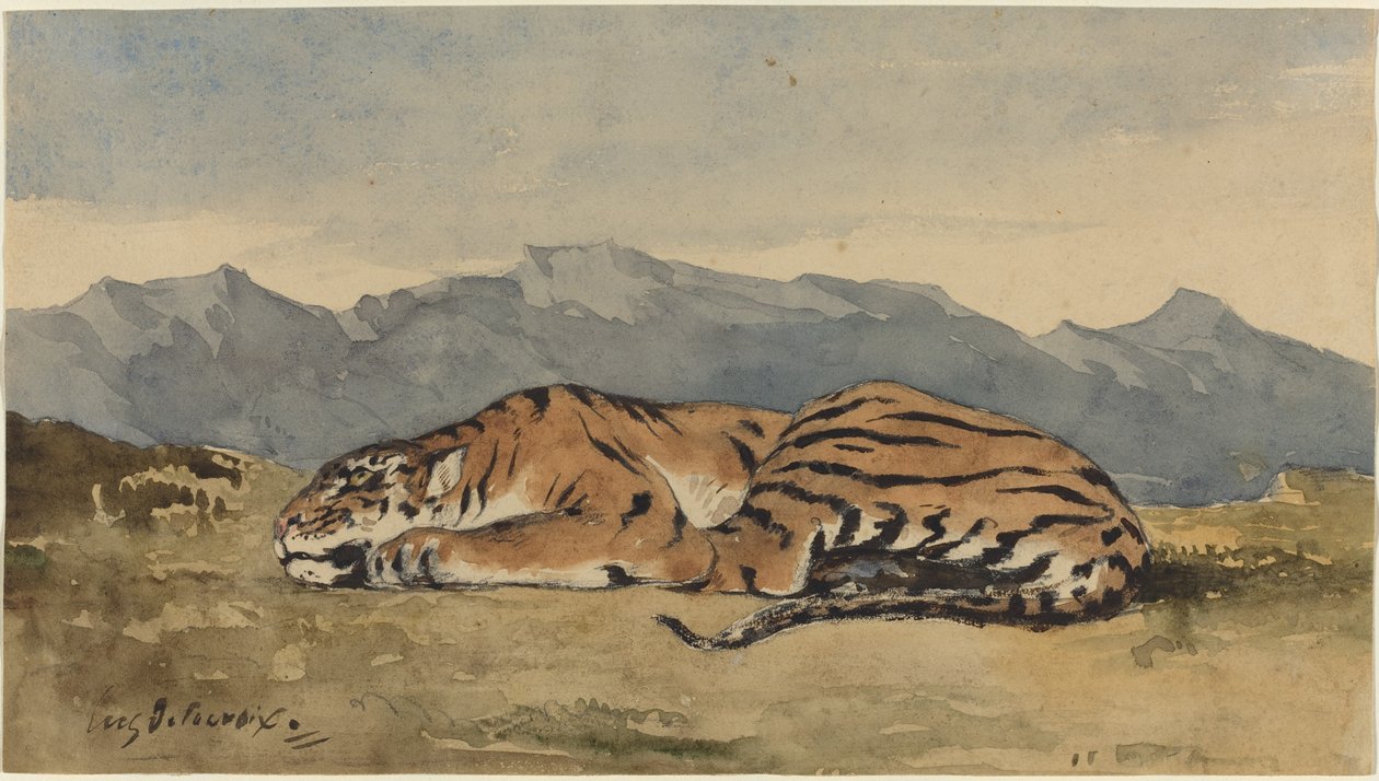 Tiger, ca. 1830. af Eugène Delacroix