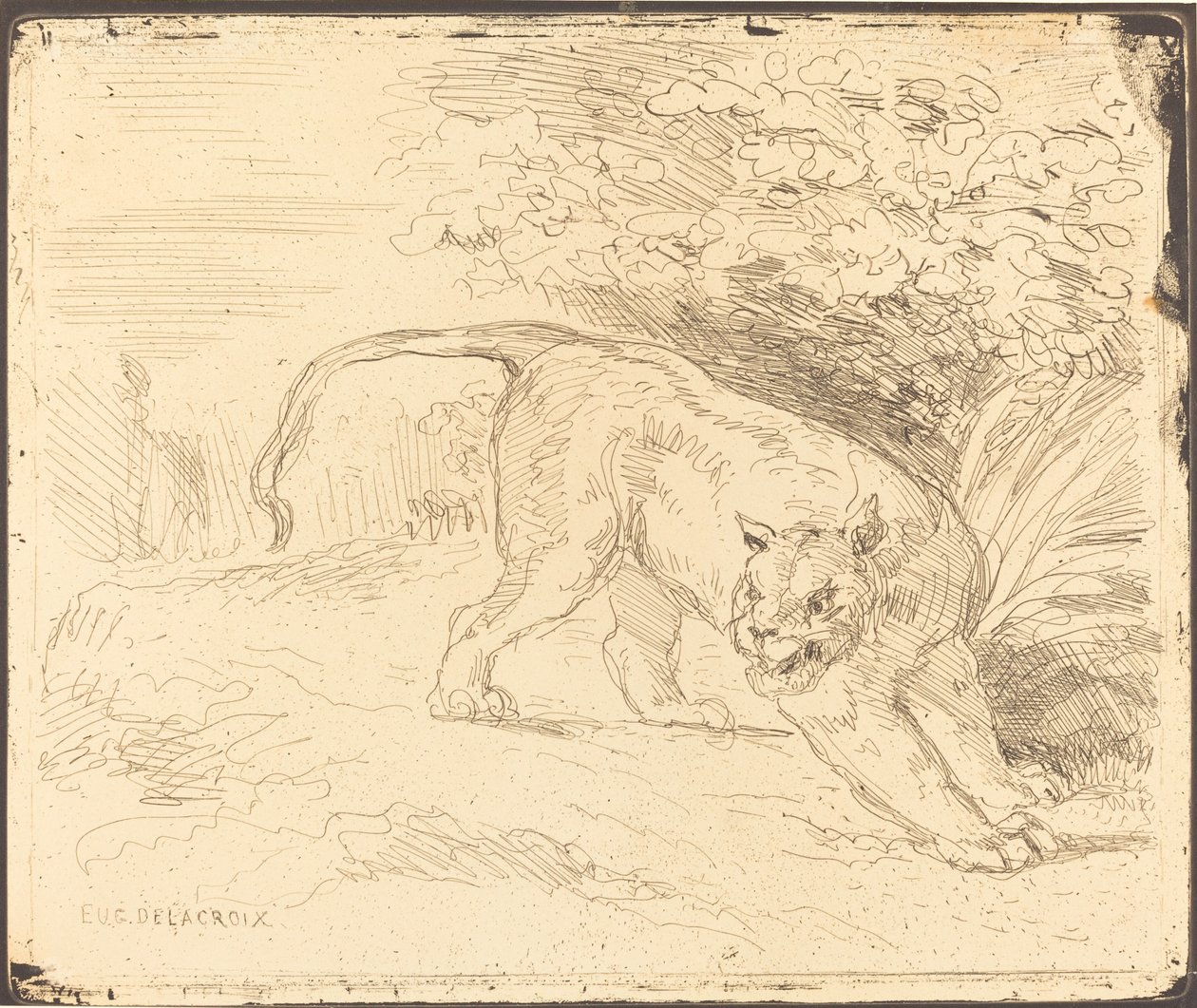 Tiger i stop af Eugène Delacroix