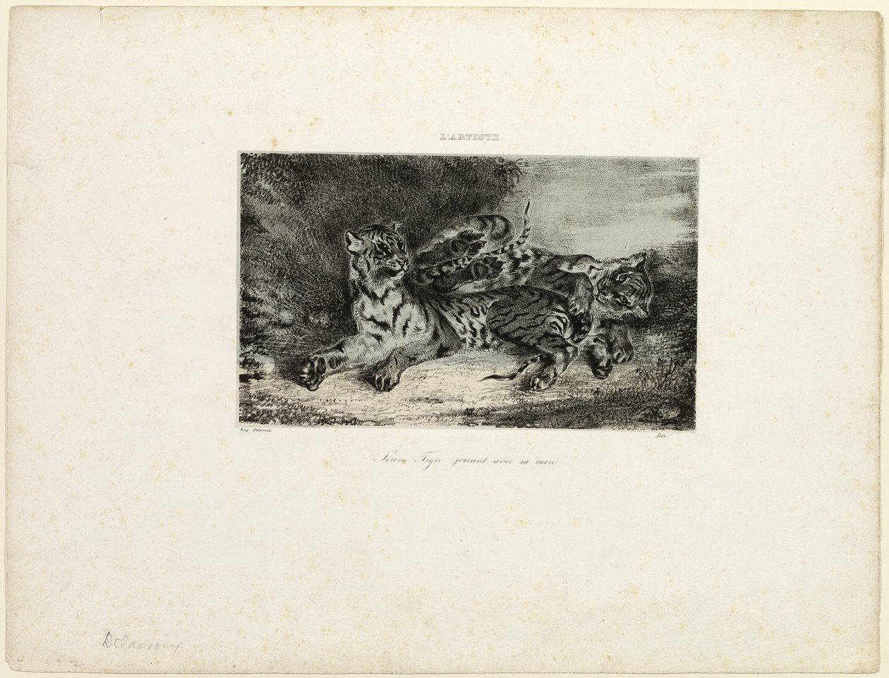 Ung tiger leger med sin mor af Eugène Delacroix