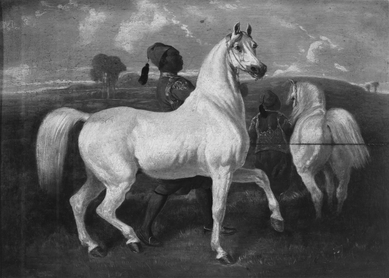 Arabiske heste, 1800-tallet af Eugène Fromentin