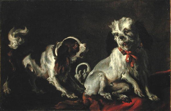 Hunde i leg (se 204489) af European School