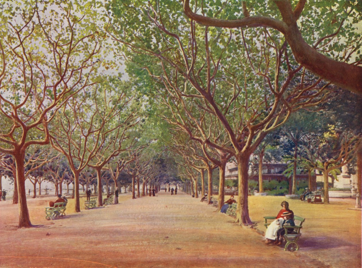 Cannes, Les Allees (farvelitografi) af European School