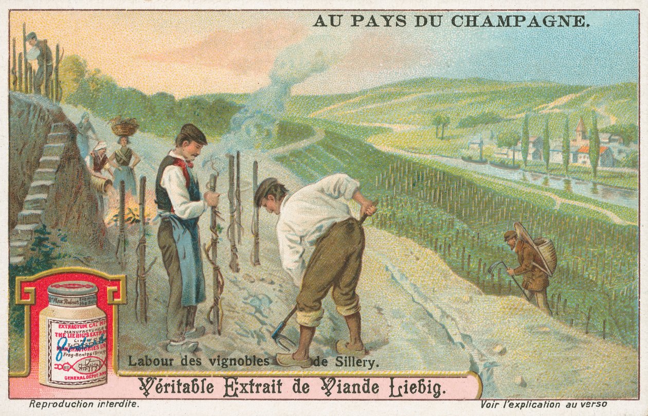 Champagne, Liebig-kort, begyndelsen af det 20. århundrede (chromo) af European School