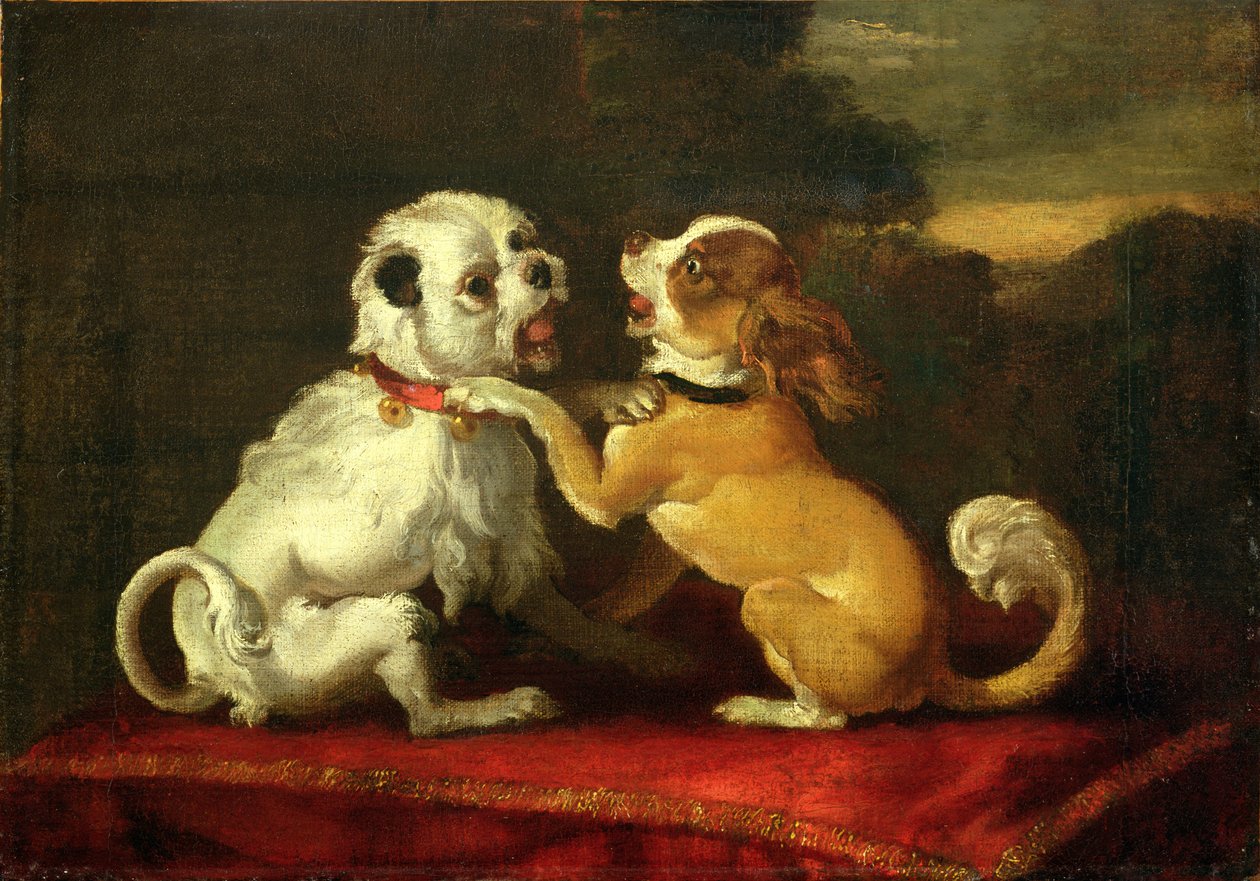 Hunde i leg (se 204490) af European School