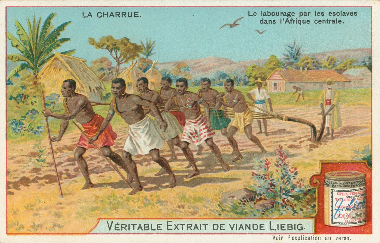 Plov, Liebig-kort, begyndelsen af det 20. århundrede (chromo) af European School