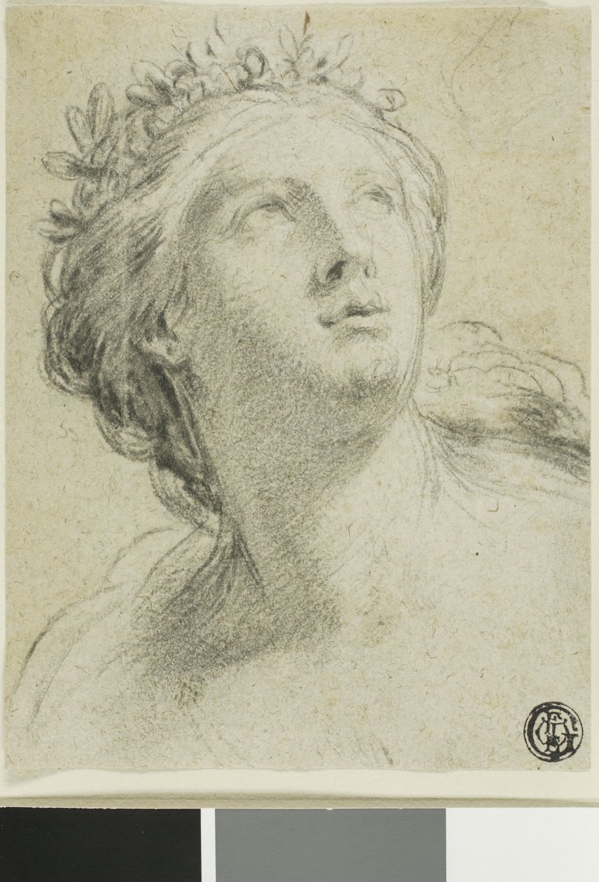 Hoved af en kvinde af Eustache Le Sueur