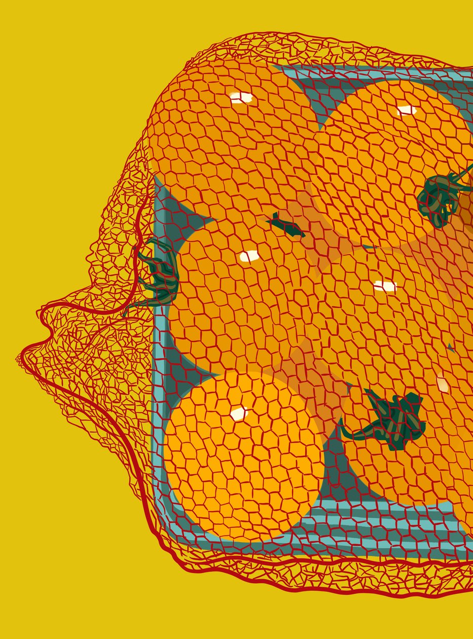 Kirsebærtomater i beholder (digital kunst) af Evan Sklar