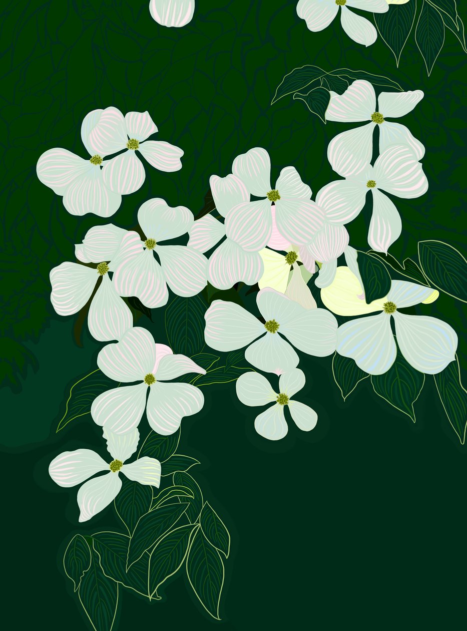 Blomstrende kornel, ca. 2020-24 (digital kunst) af Evan Sklar