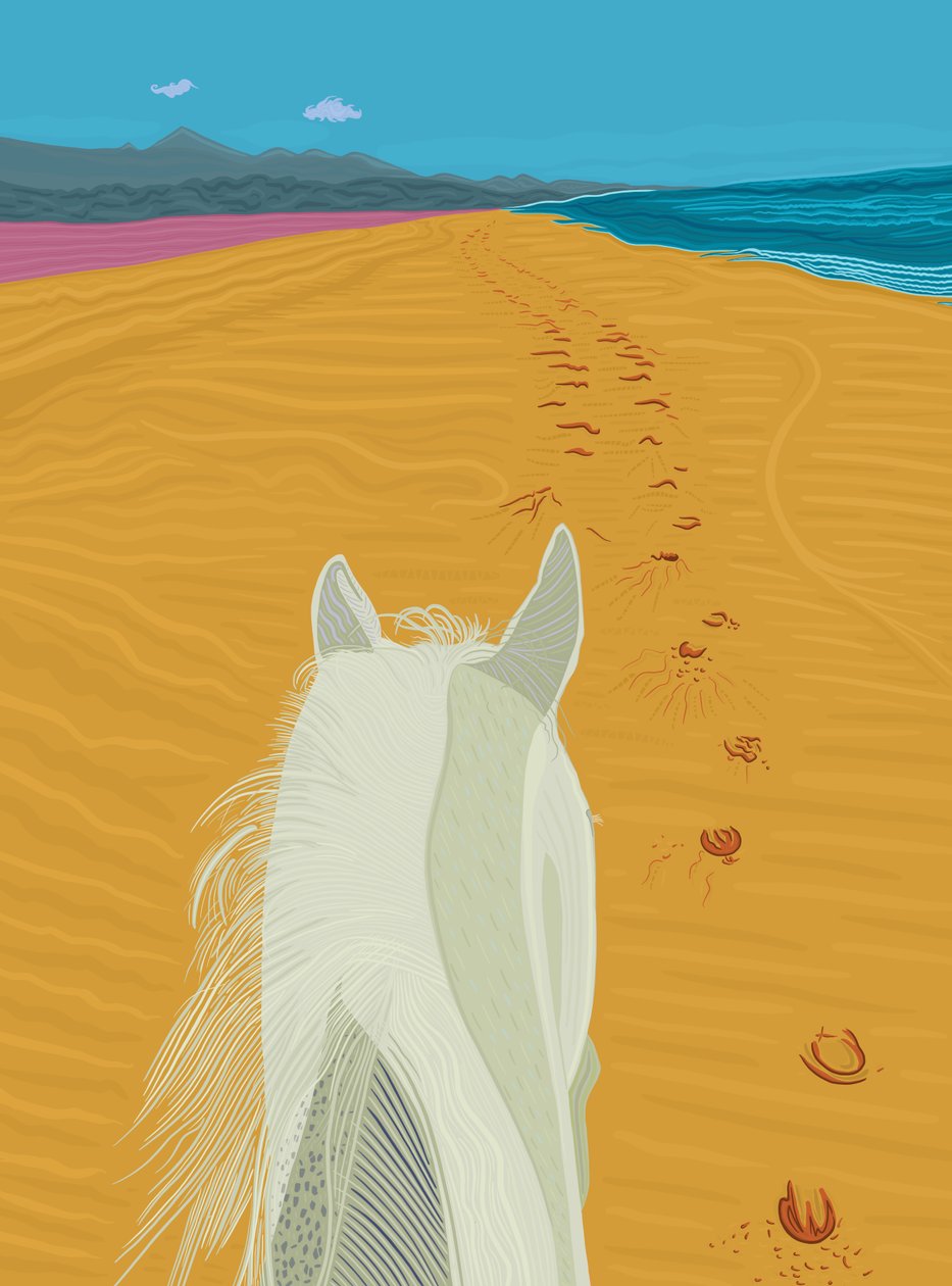 Hest på stranden, ca. 2020-24 (digital kunst) af Evan Sklar