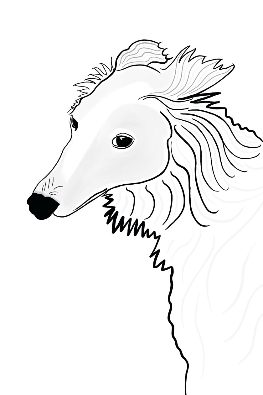 Stregtegning af Silken Windhound (digital kunst) af Evan Sklar
