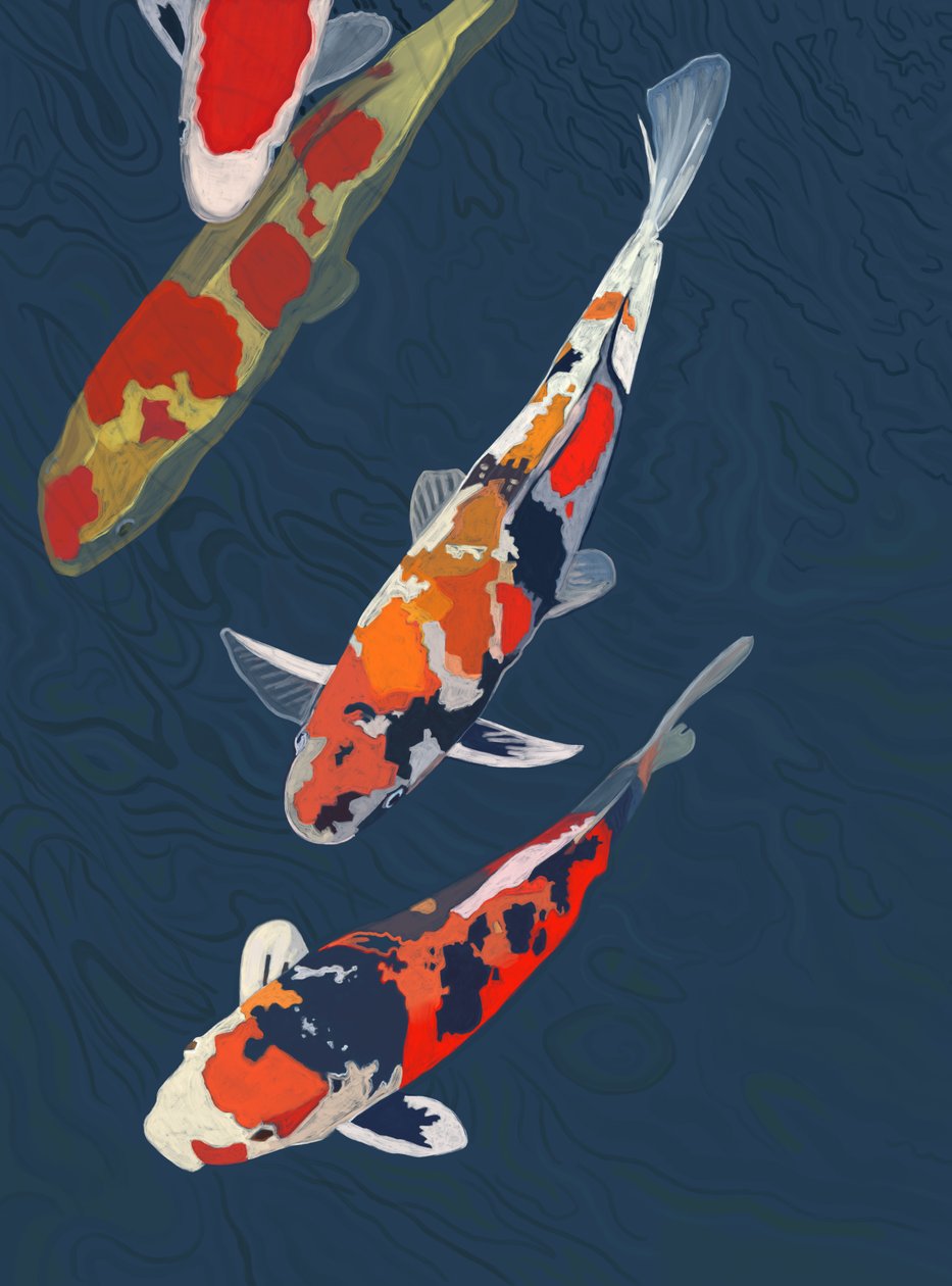 Tre Koi (digital kunst) af Evan Sklar
