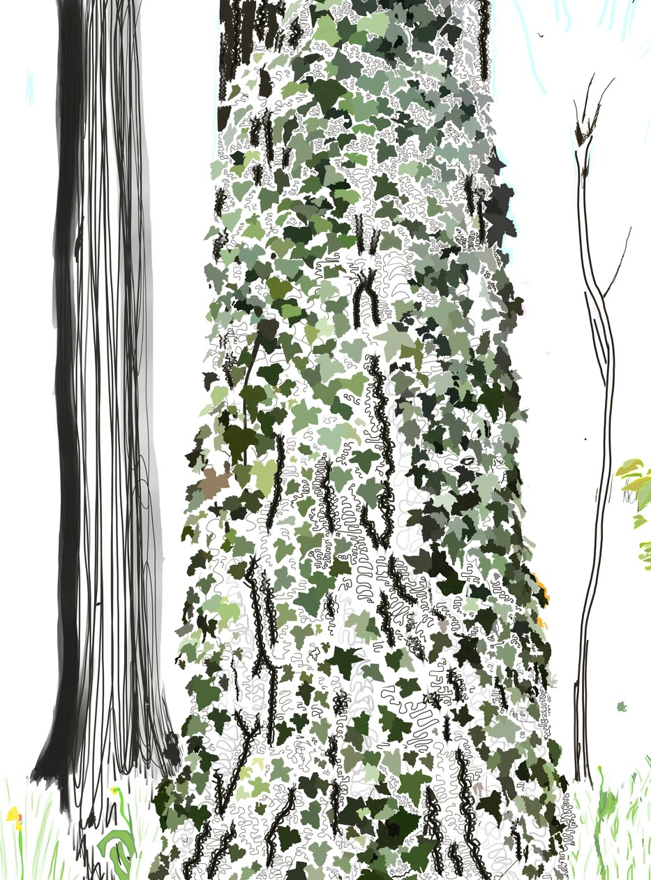 Træ med efeu (digital kunst) af Evan Sklar