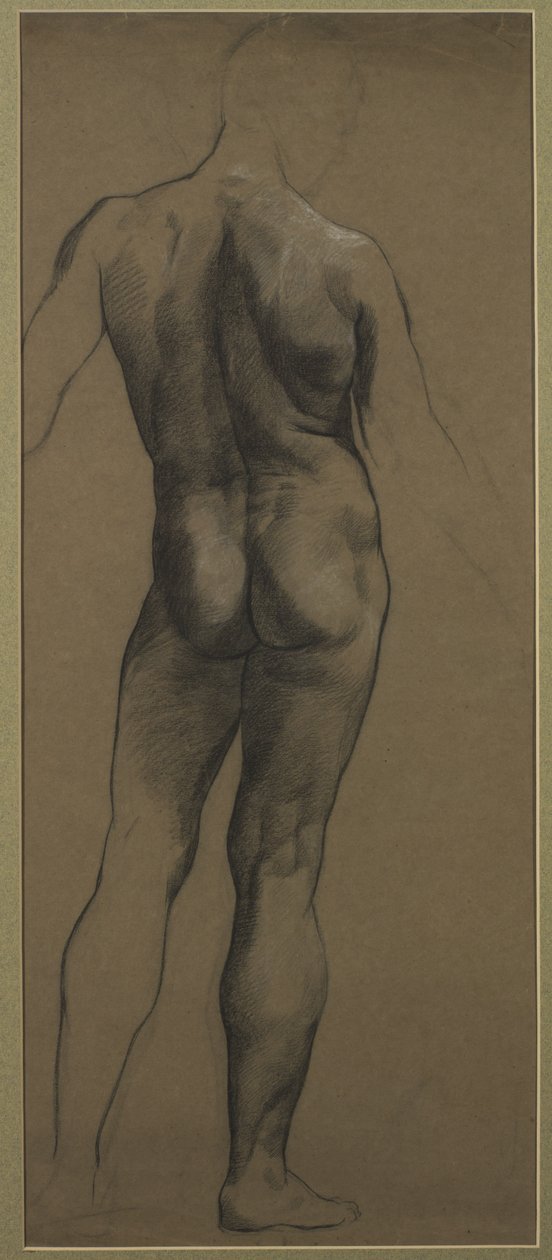 Mandlige nøgenstudie (sort og hvidt kridt på brunt papir) af Evelyn De Morgan