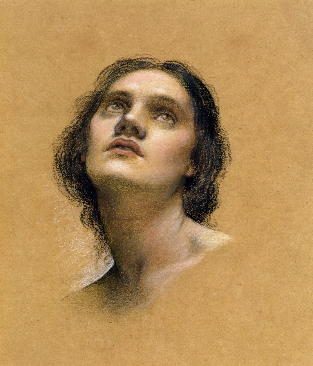 Studie af et hoved (pastel på papir) af Evelyn De Morgan