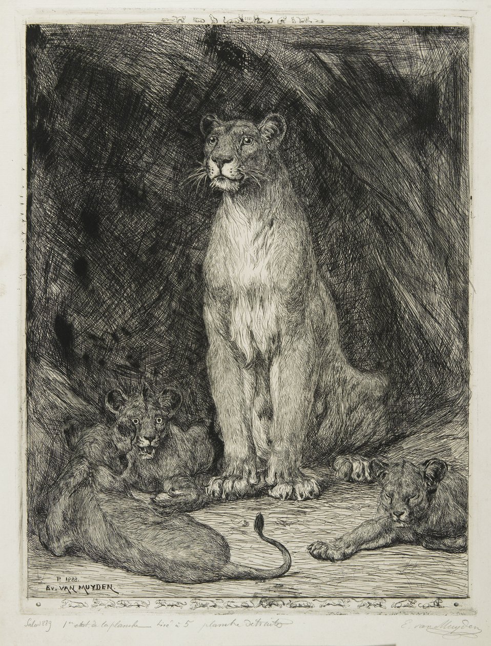 Løvinde siddende og tre unger, 1888 af Evert van Muyden