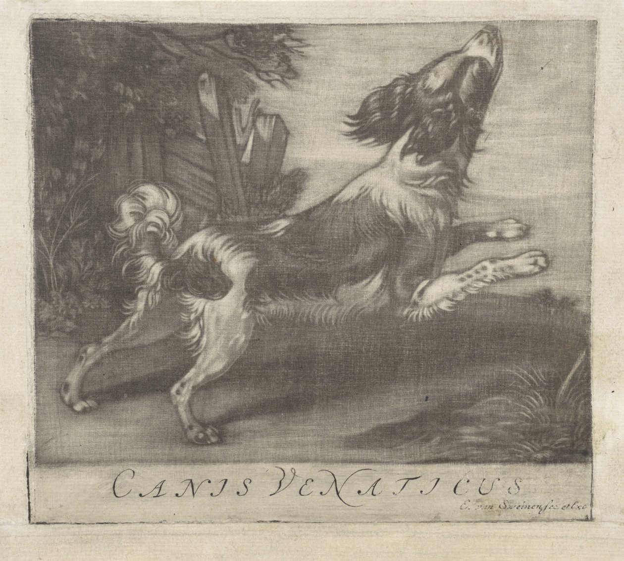 springende hund Canis Venaticus (titel på objekt) af Evert van Sweinen